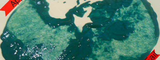 Painted apple stars pinterest fail